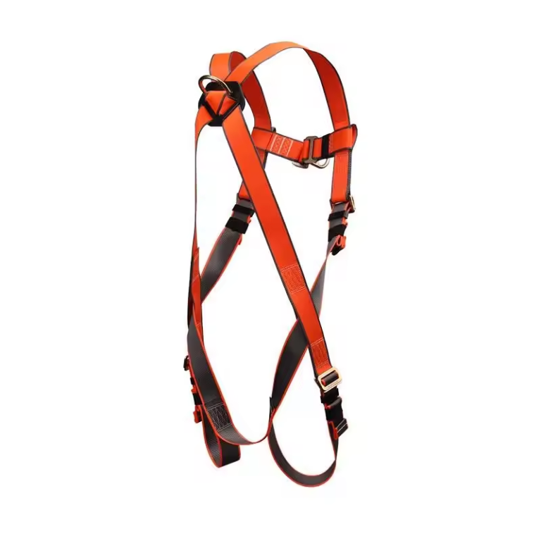 H0cfbc6dabcc748059eec546e7a011296C