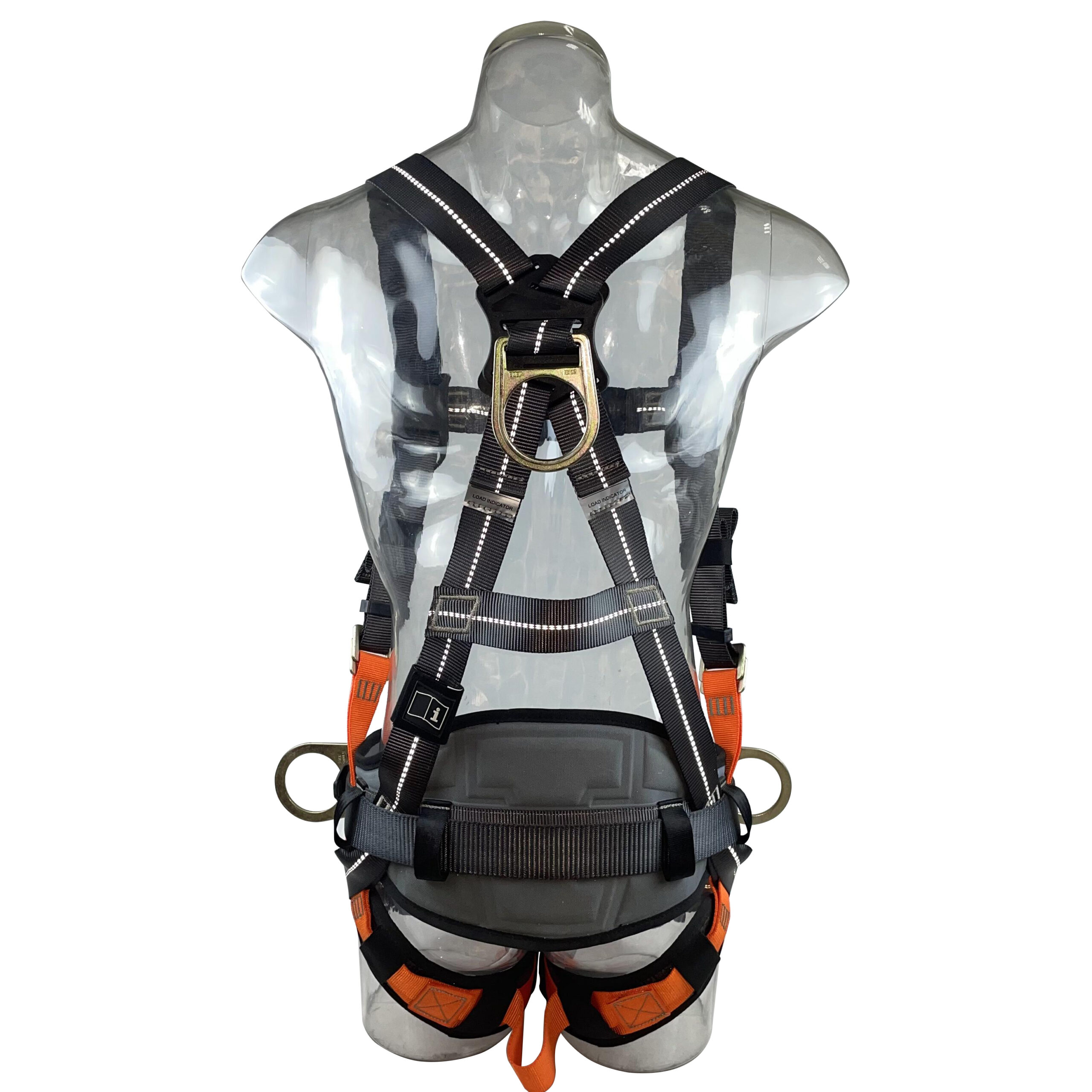 stell 1007 2wq 1 scaled