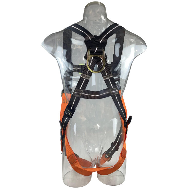 stell1006-3