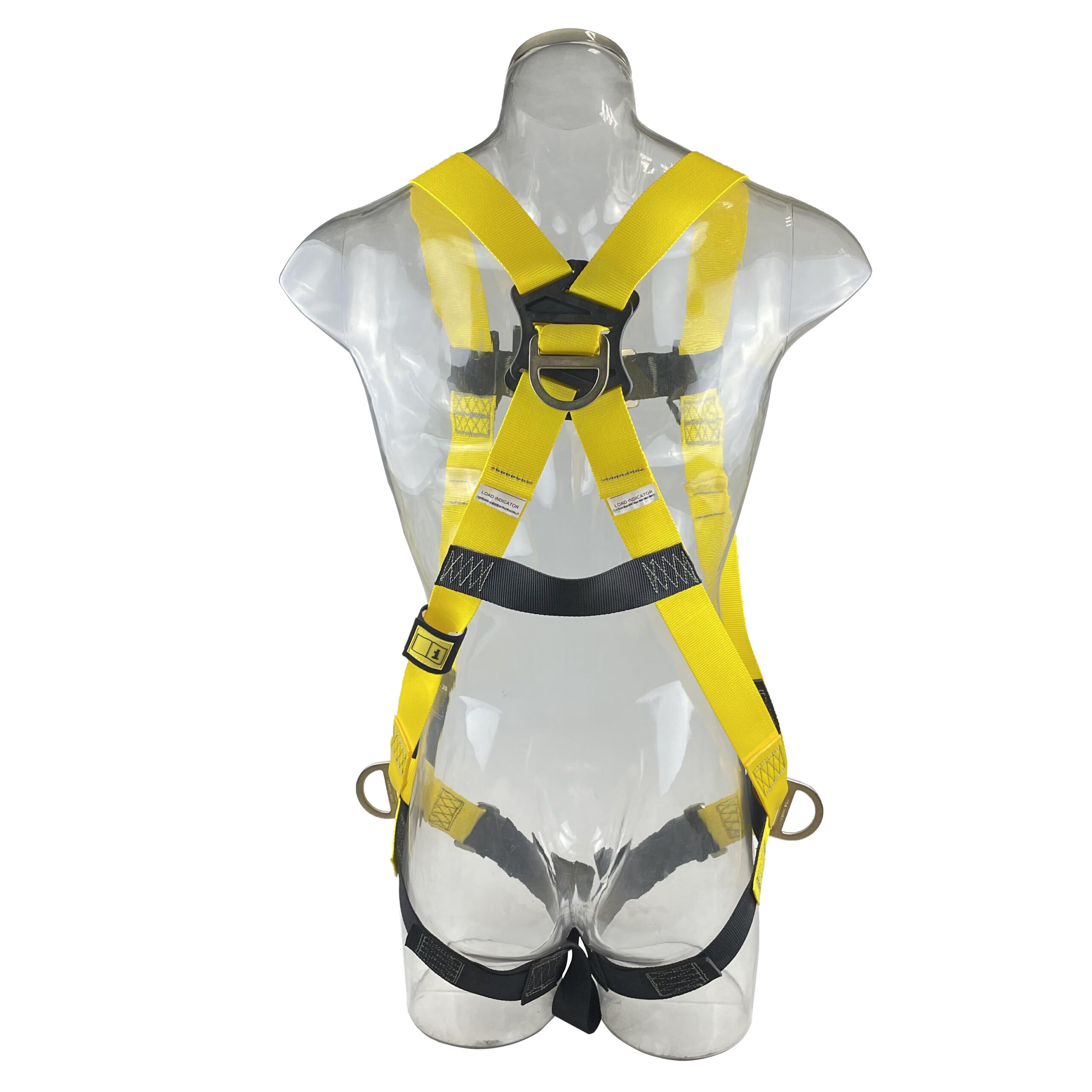 stell1007fd 4 1 scaled