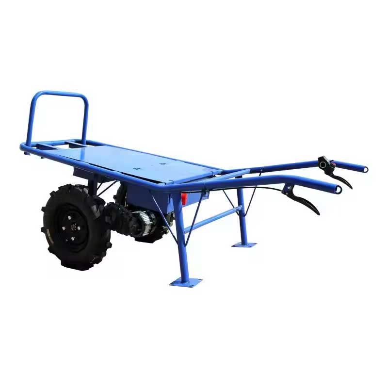 electric samll cart