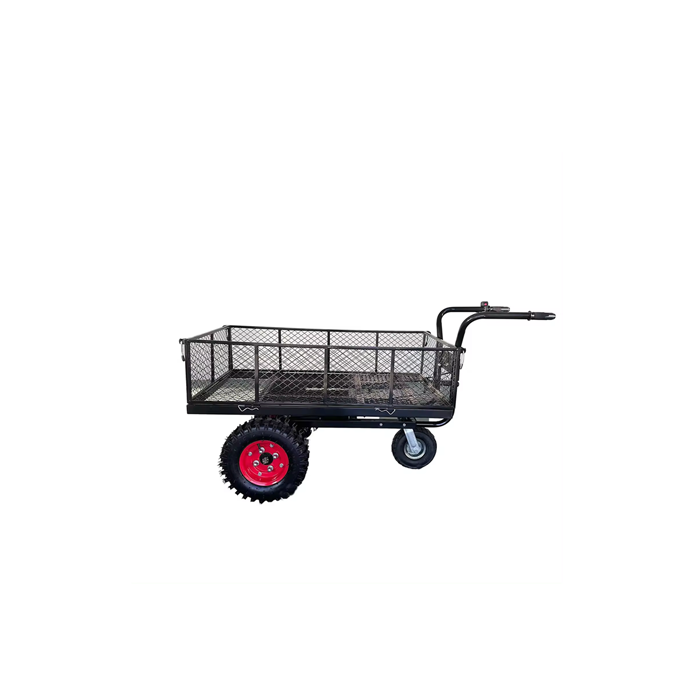 electric-cart