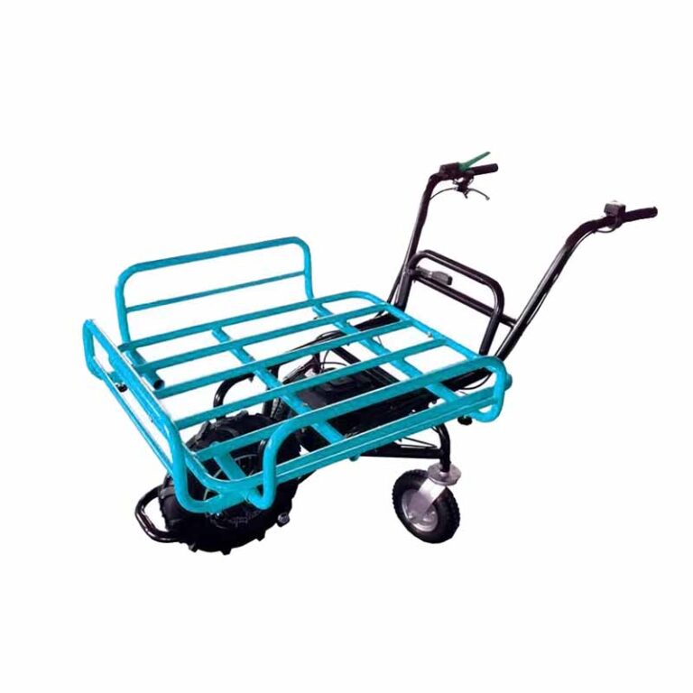 Electric Unicycle