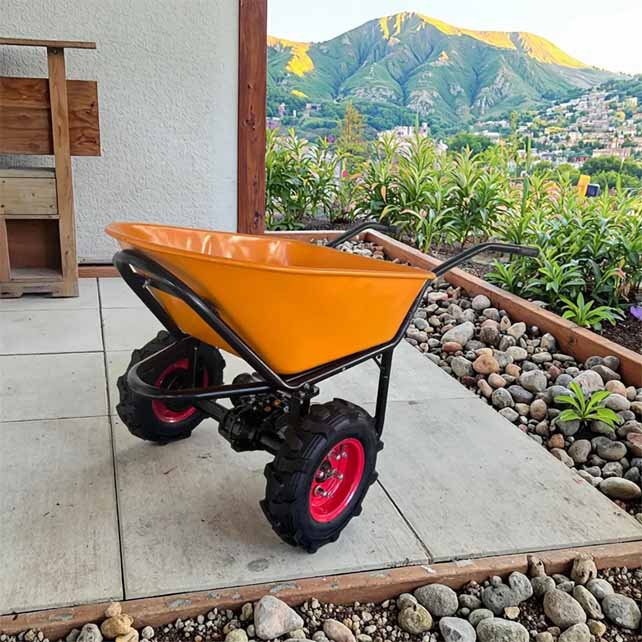electric cart 1