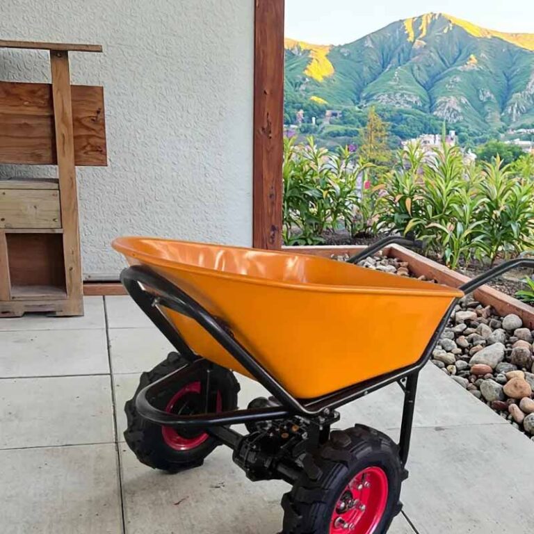 electric cart
