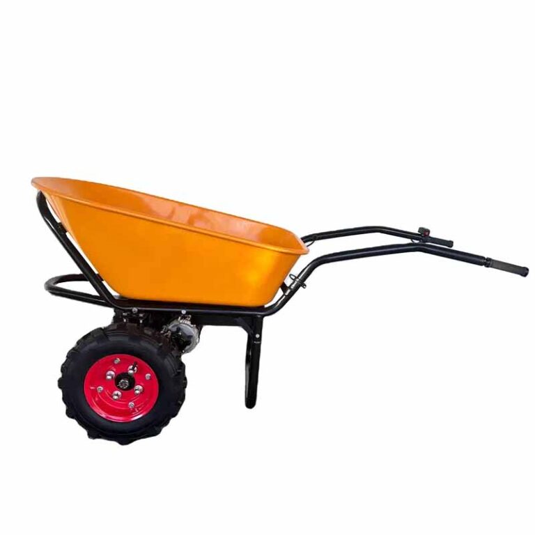 electric cart1