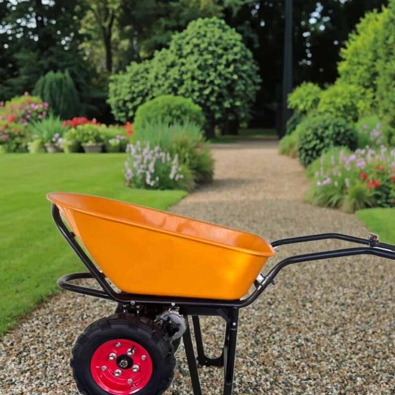electric cart1