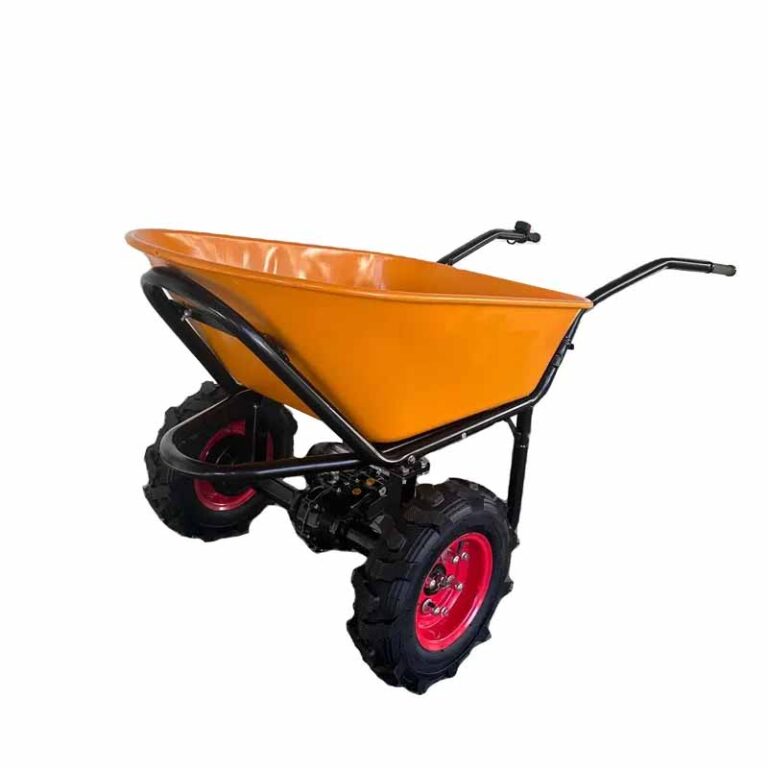 electric cart3