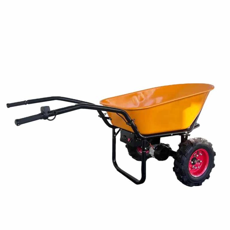 electric cart4