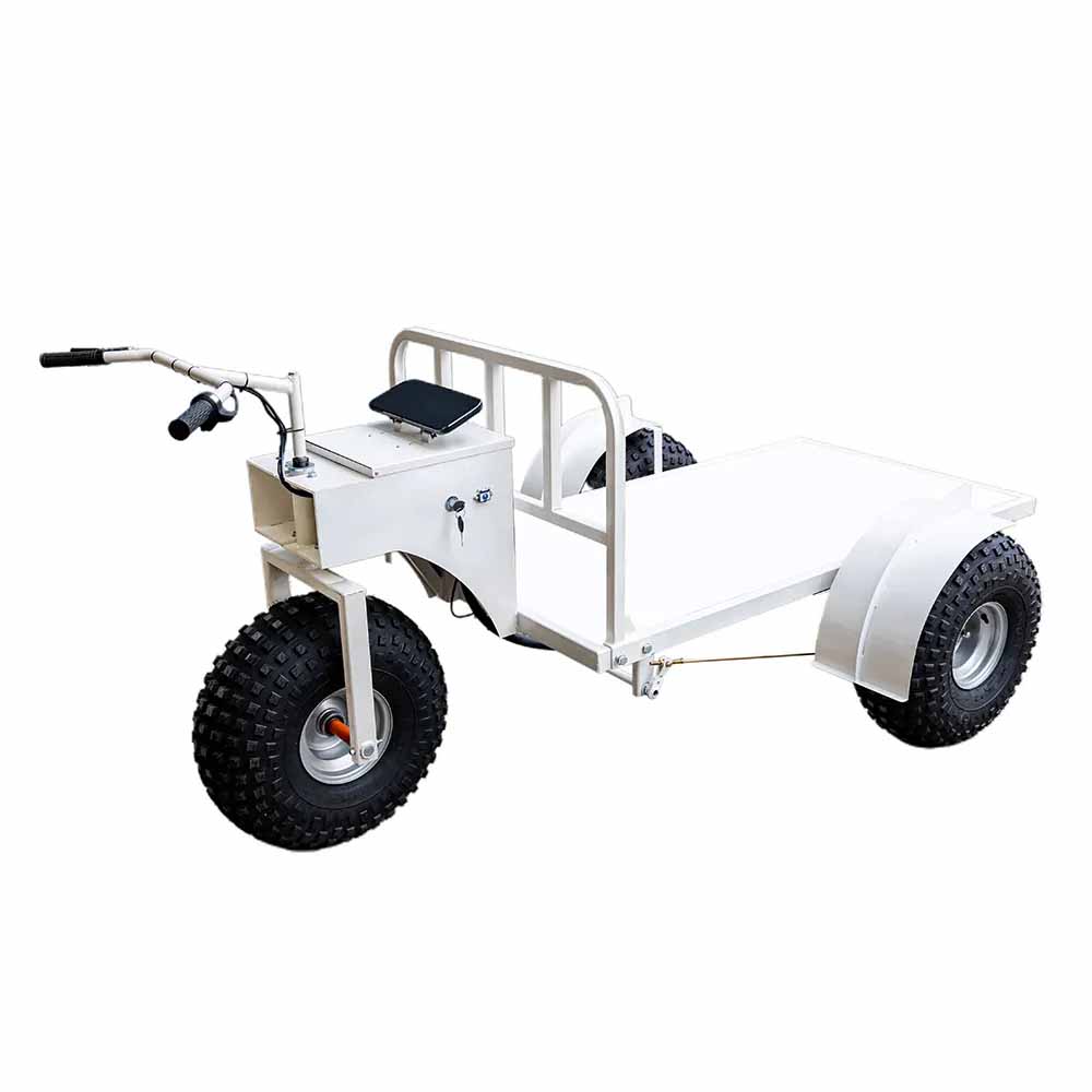 electric cart