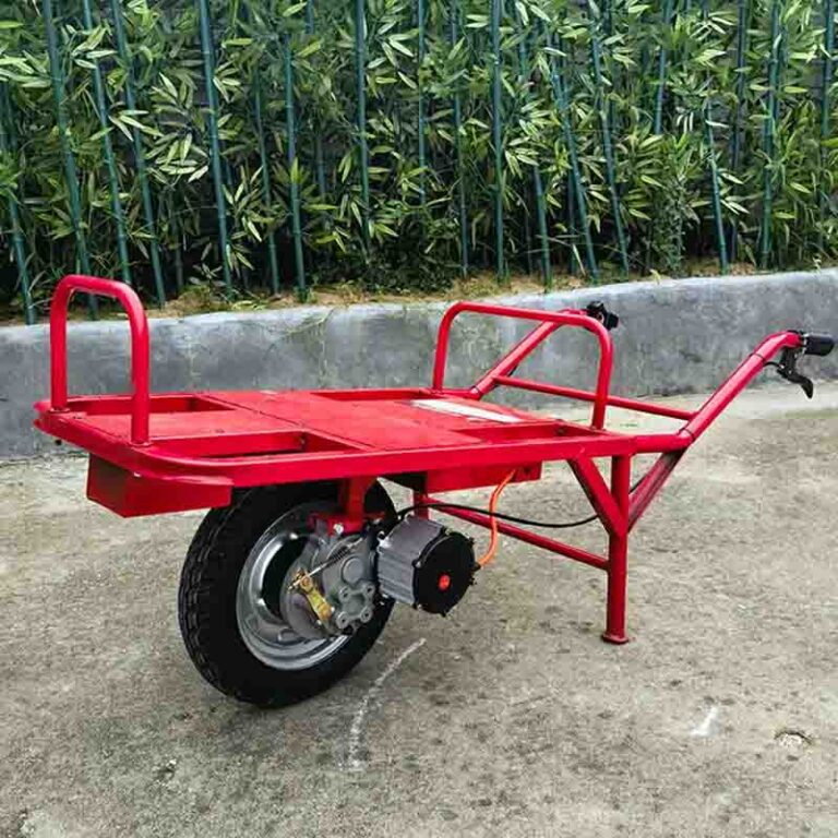 electric cart5
