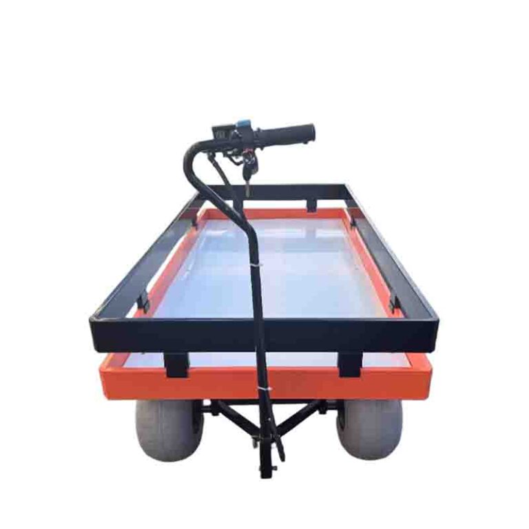 beach cart1