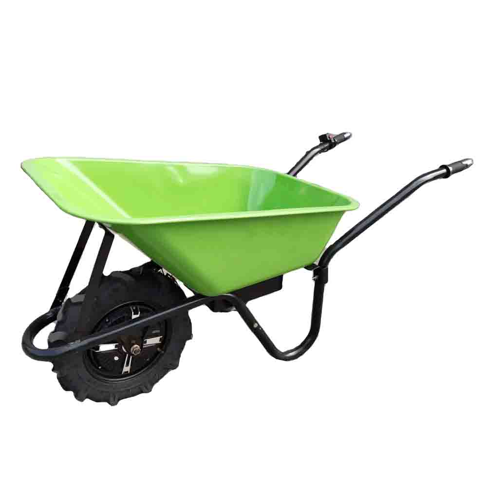 electric cart 1