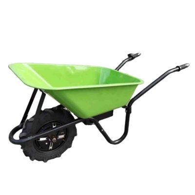 electric cart