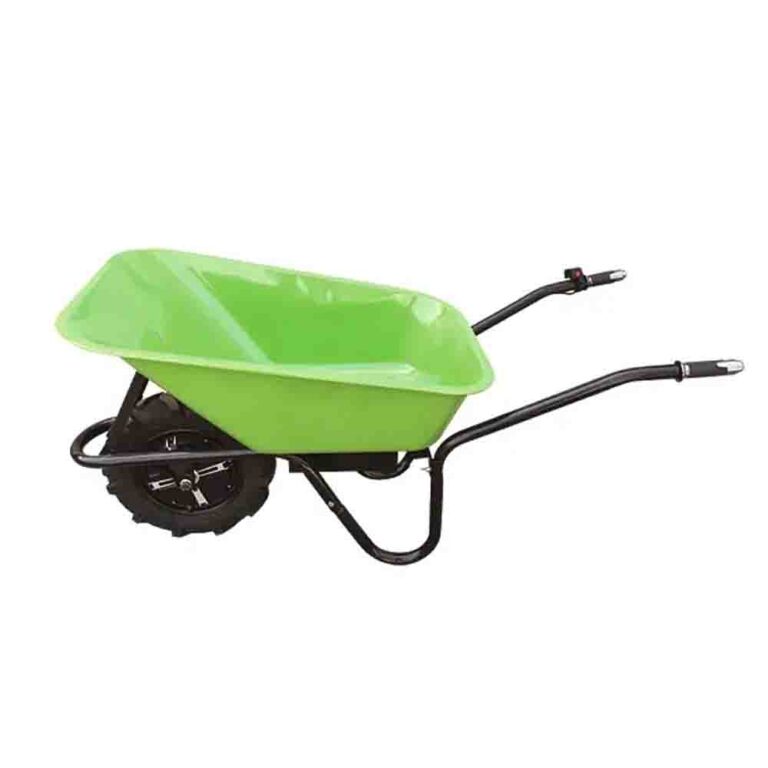 electric cart1