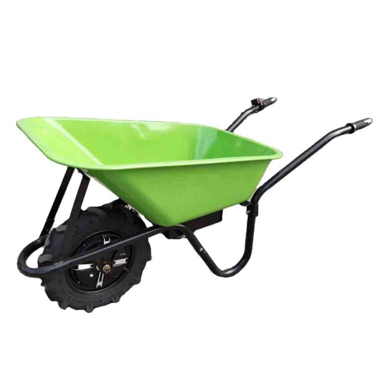 electric cart2