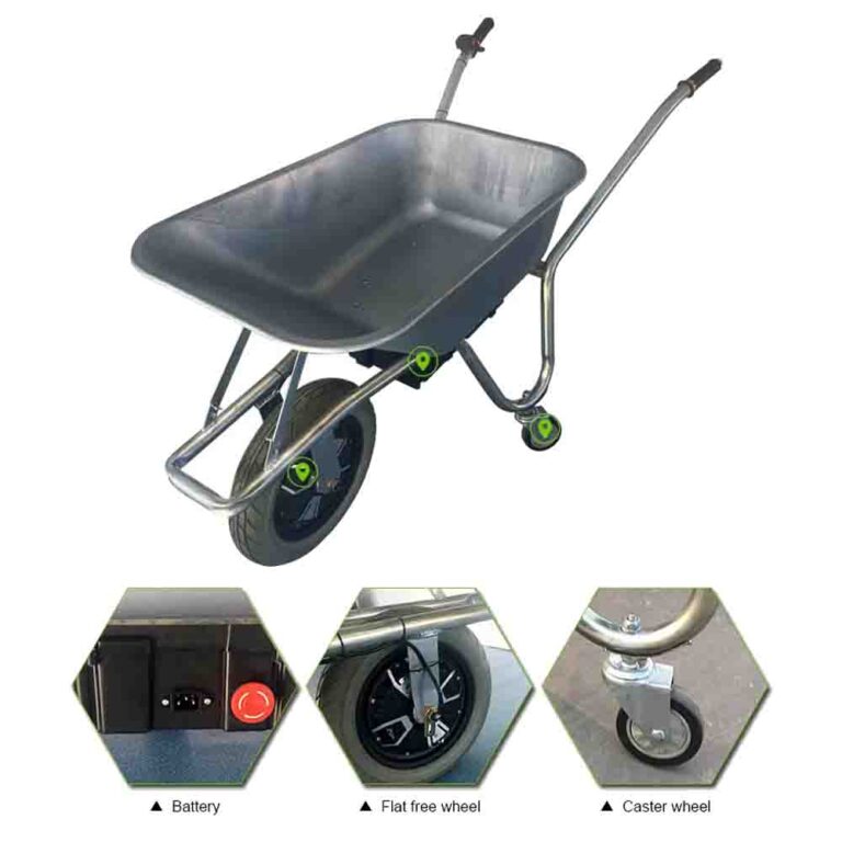 electric cart3