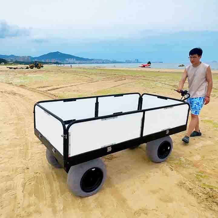 beach cart1