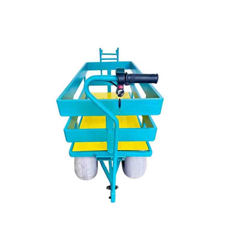 beach cart2