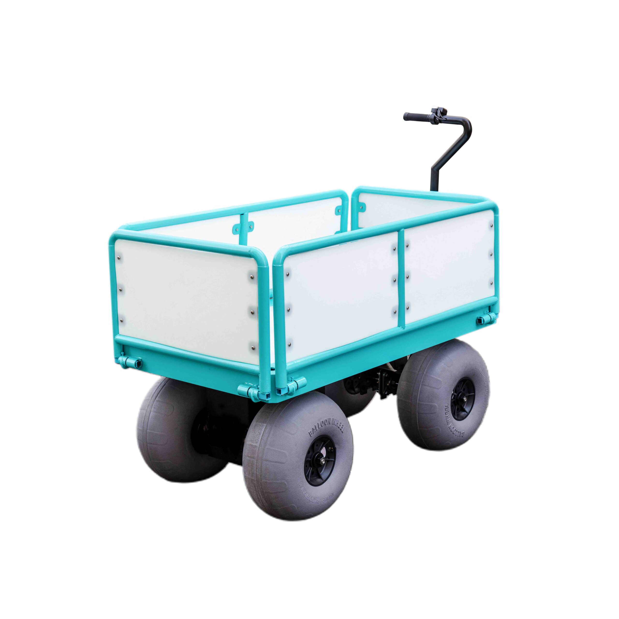 Heavy Duty Electric Trolley scaled