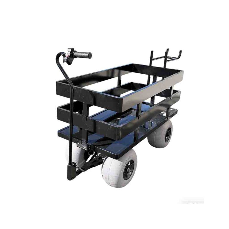 beach wagon1