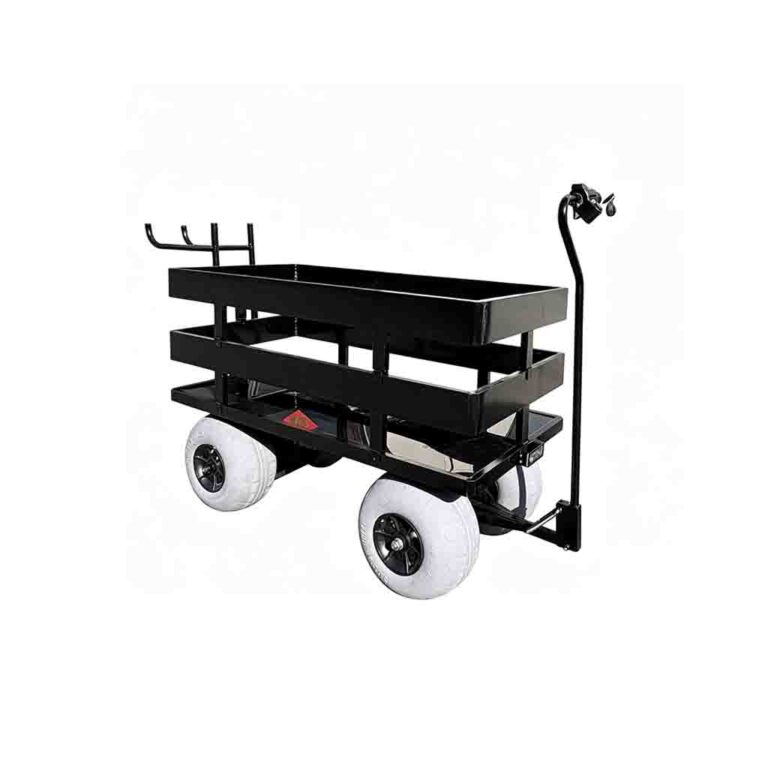 beach wagon3